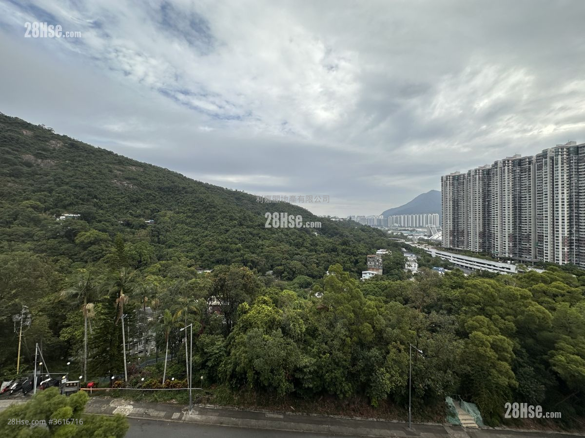 乐林园 租盘 3 房 , 2 浴室 1,058 平方尺 ( 98.3 平方米 ) 乐林园 租盘 3 房 , 2 浴室 1,058 平方尺 ( 98.3 平方米 )