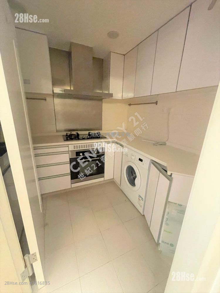 Jimmy豆生   63460809 Jimmy豆生   63460809