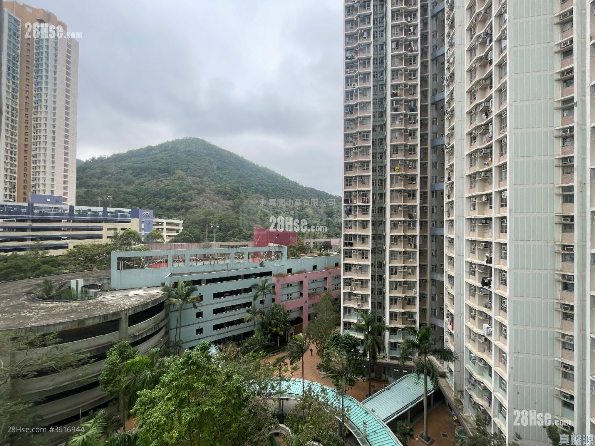 Tong Ming Court Sell 1 Bedroom 433 ft² ( 40.2 m² ) Tong Ming Court Sell 1 Bedroom 433 ft² ( 40.2 m² )