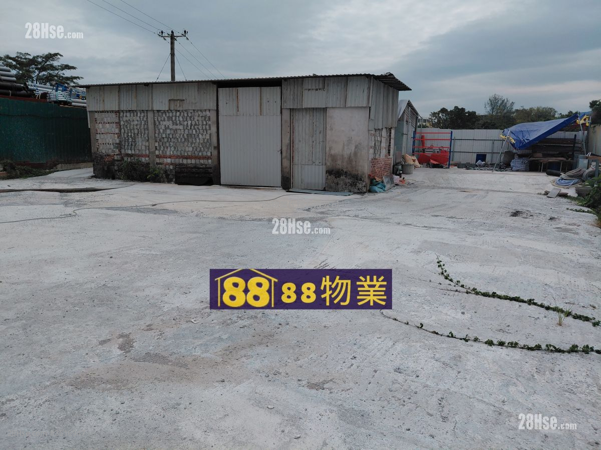 打鼓岭坪輋路 租盘 打鼓岭坪輋路 租盘