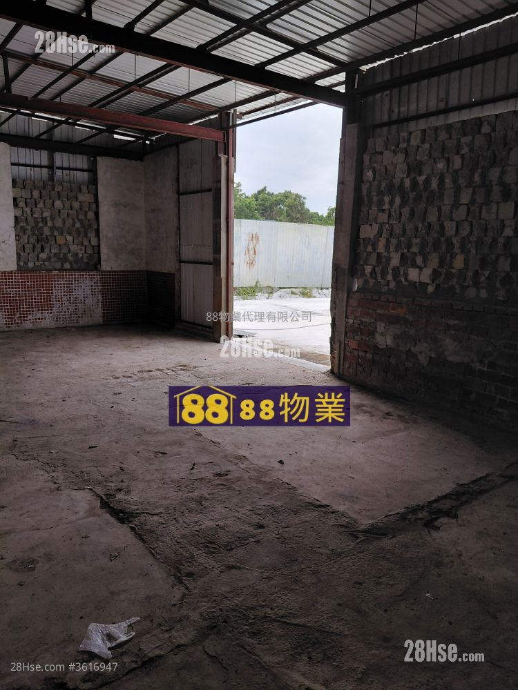 打鼓岭坪輋路 租盘 打鼓岭坪輋路 租盘