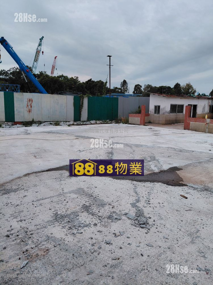 打鼓岭坪輋路 租盘 打鼓岭坪輋路 租盘