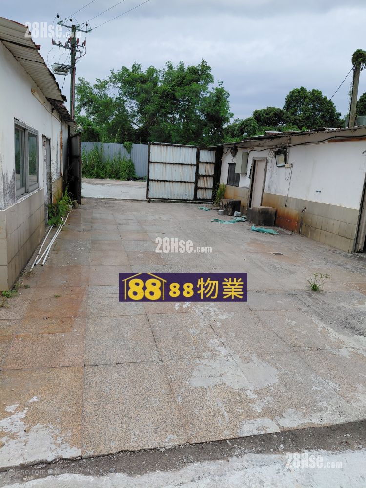 打鼓岭坪輋路 租盘 打鼓岭坪輋路 租盘