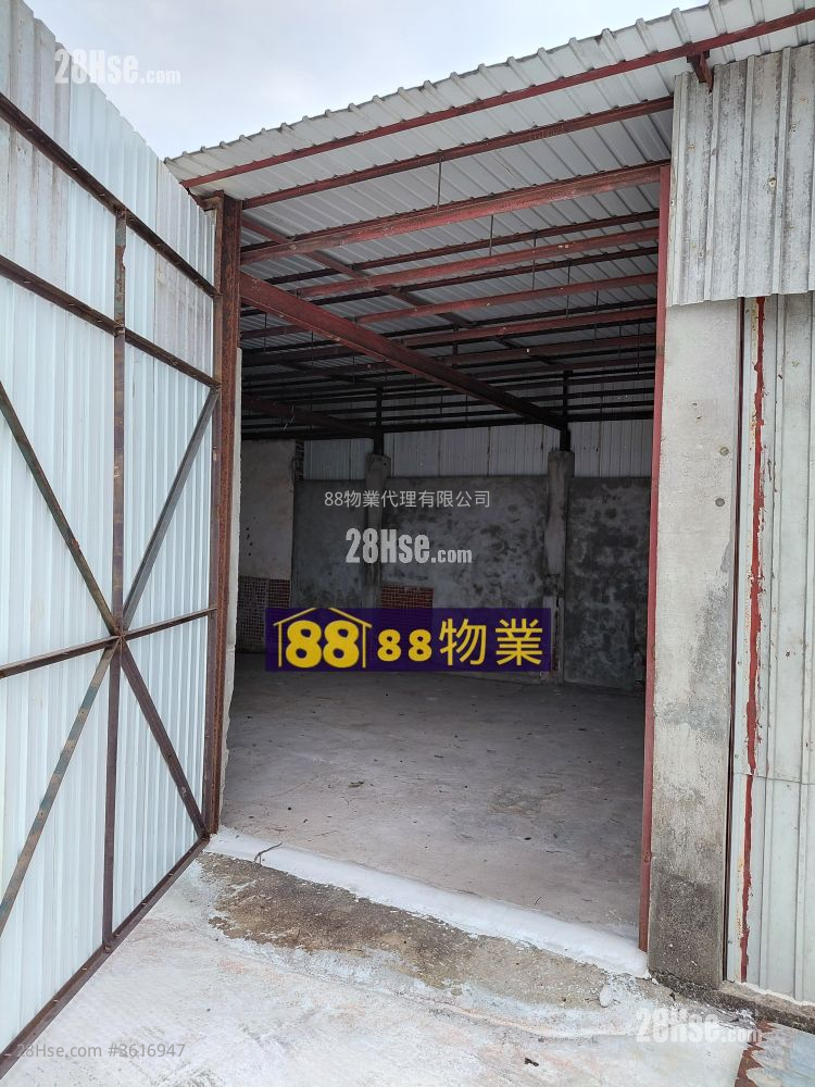 打鼓岭坪輋路 租盘 打鼓岭坪輋路 租盘