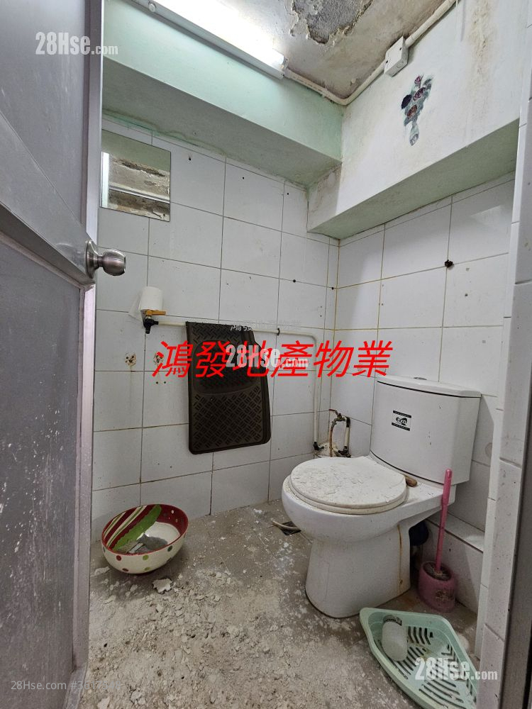 单幢楼房 租盘 单幢楼房 租盘
