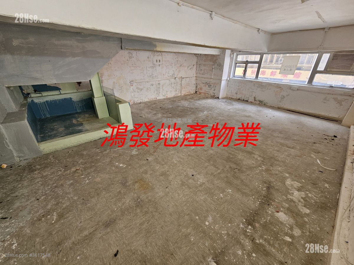 单幢楼房 租盘 单幢楼房 租盘