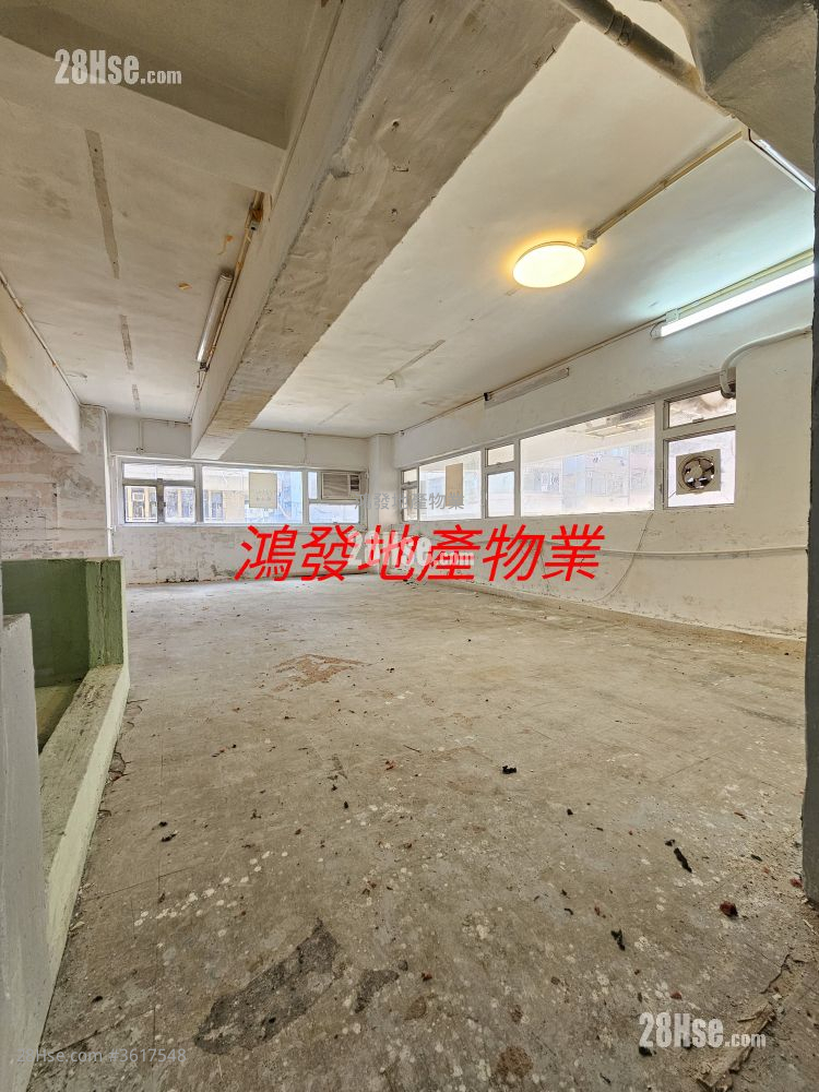 单幢楼房 租盘 单幢楼房 租盘