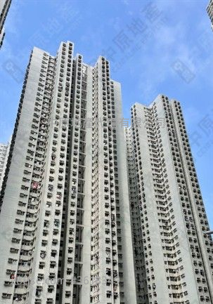 富康花园 售盘 2 房 431 平方尺 ( 40.0 平方米 ) 富康花园 售盘 2 房 431 平方尺 ( 40.0 平方米 )