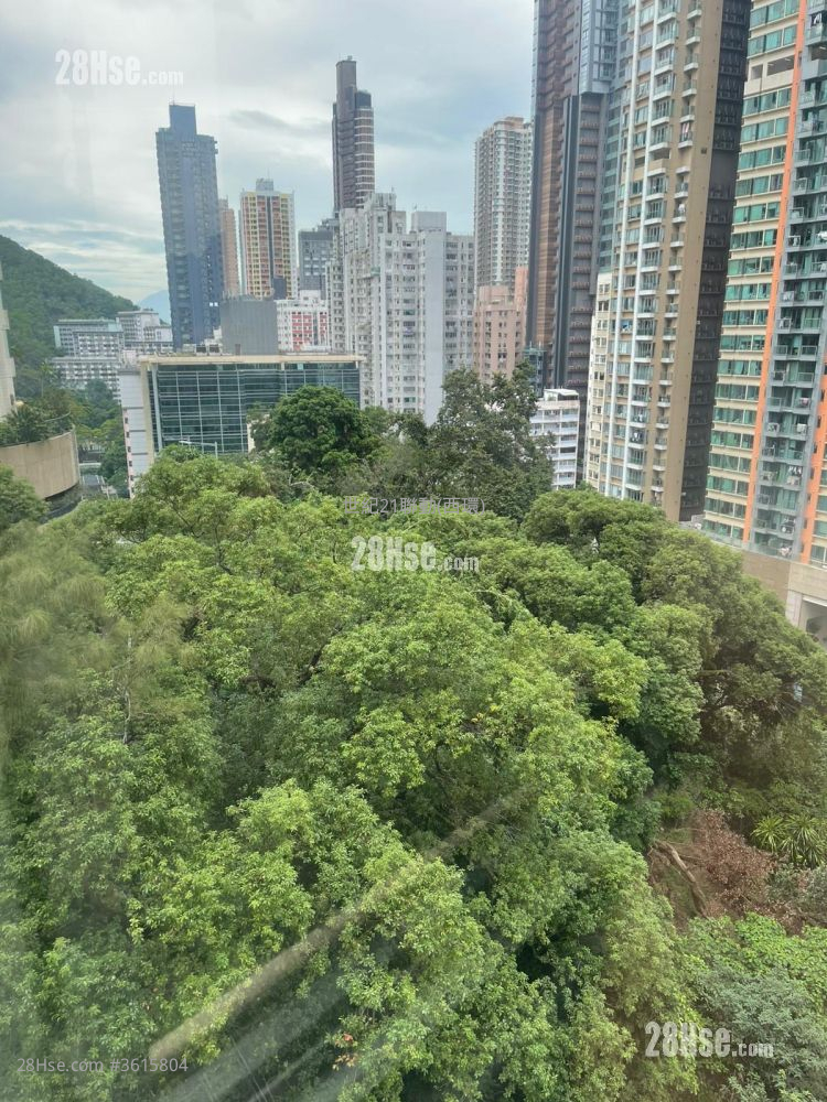 宝树楼 售盘 2 房 , 1 浴室 505 平方尺 ( 46.9 平方米 ) 宝树楼 售盘 2 房 , 1 浴室 505 平方尺 ( 46.9 平方米 )