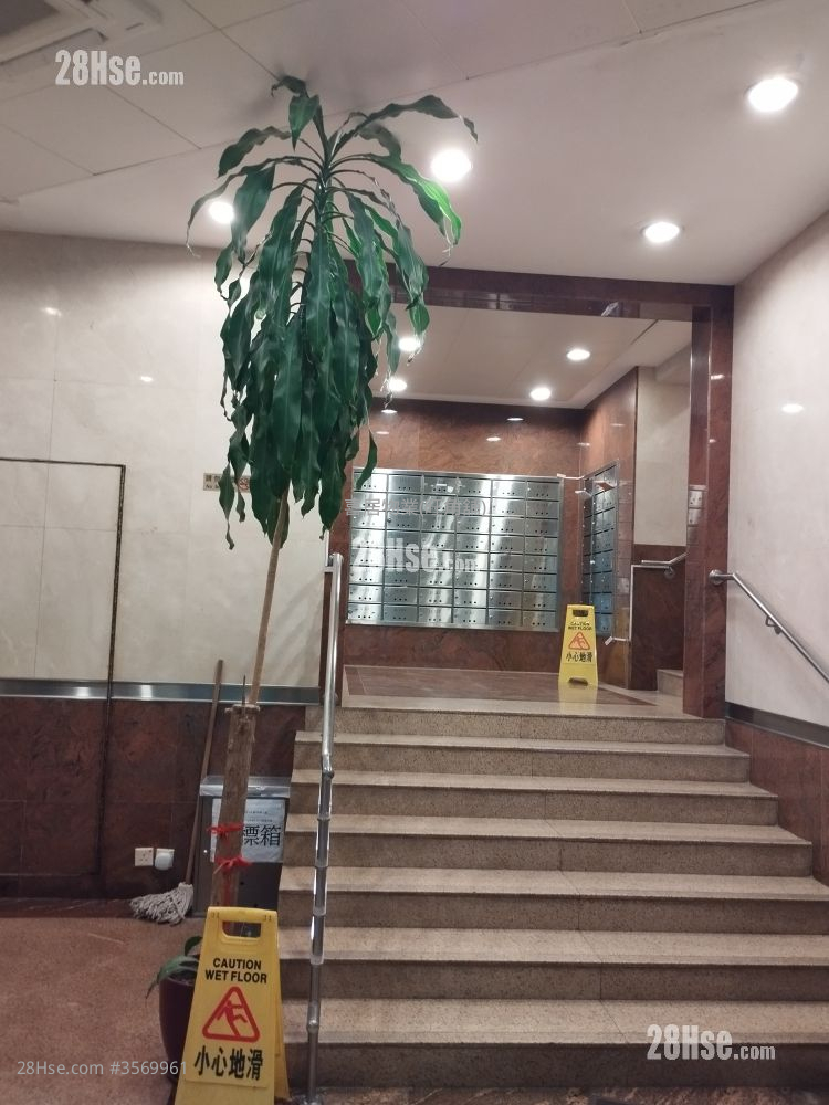 怡景大厦 租盘 开放式间隔 , 1 浴室 465 平方尺 ( 43.2 平方米 )