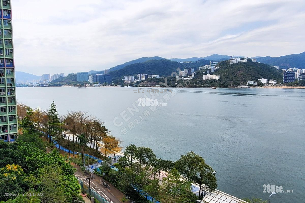 锦丰苑 售盘 2 房 , 1 浴室 539 平方尺 ( 50.1 平方米 ) 锦丰苑 售盘 2 房 , 1 浴室 539 平方尺 ( 50.1 平方米 )
