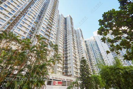 City Garden Rental 3 Bedrooms , 2 Bathrooms 961 ft² ( 89.3 m² ) City Garden Rental 3 Bedrooms , 2 Bathrooms 961 ft² ( 89.3 m² )