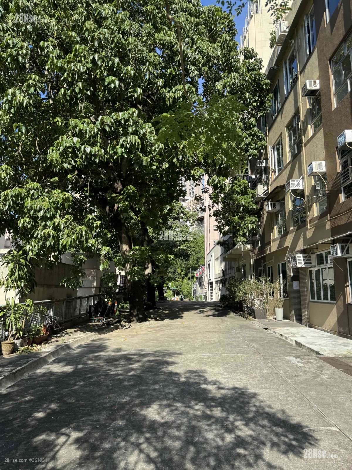 怡景苑 售盘 2 房 305 平方尺 ( 28.3 平方米 )