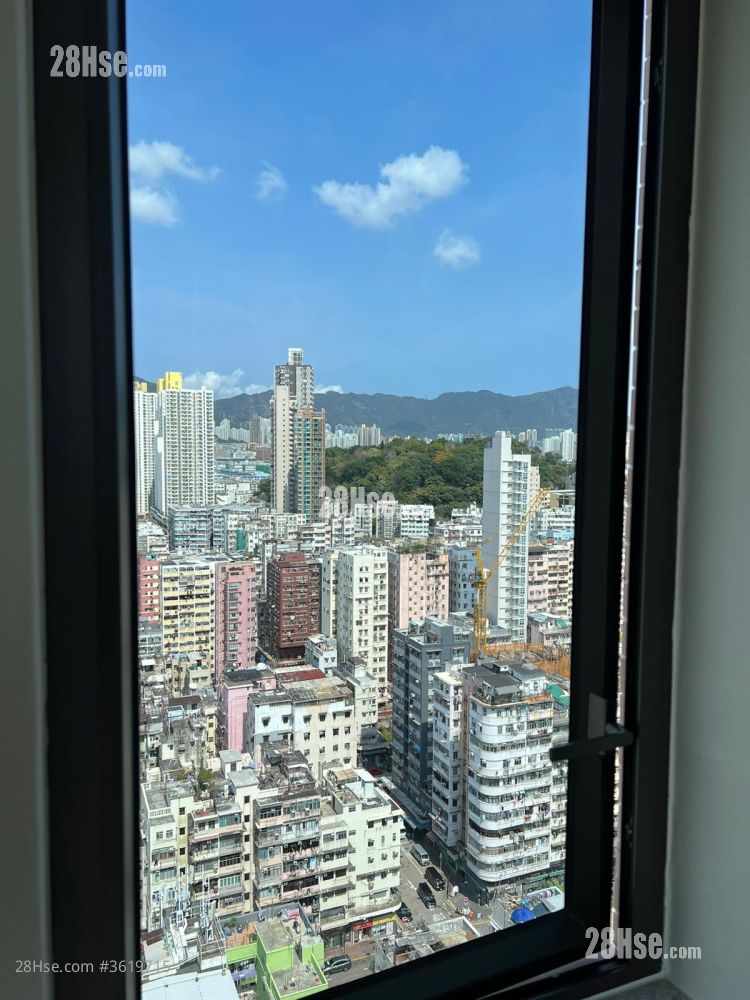 AVA228 租盘 开放式间隔 , 1 浴室 203 平方尺 ( 18.9 平方米 ) AVA228 租盘 开放式间隔 , 1 浴室 203 平方尺 ( 18.9 平方米 )