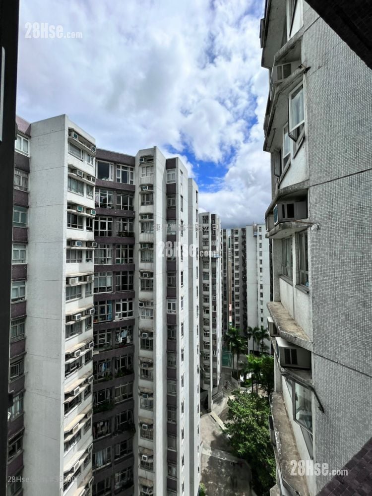 黄埔花园 售盘 2 房 , 1 浴室 503 平方尺 ( 46.7 平方米 ) 黄埔花园 售盘 2 房 , 1 浴室 503 平方尺 ( 46.7 平方米 )
