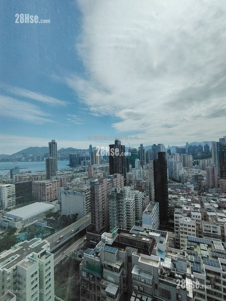 93Pauchungstreet Rental 1 Bedroom , 1 Bathroom 316 ft² ( 29.4 m² ) 93Pauchungstreet Rental 1 Bedroom , 1 Bathroom 316 ft² ( 29.4 m² )
