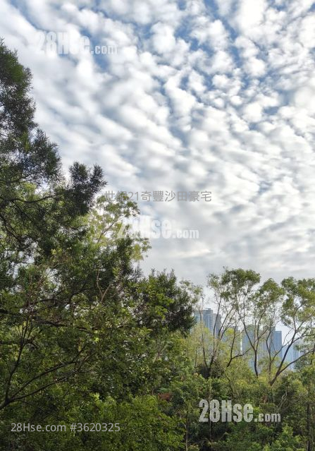 晓翠山庄 售盘 3 房 , 2 浴室 809 平方尺 ( 75.2 平方米 ) 晓翠山庄 售盘 3 房 , 2 浴室 809 平方尺 ( 75.2 平方米 )
