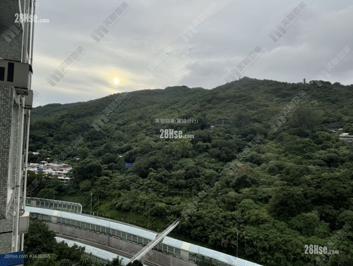 丽城花园 售盘 3 房 , 1 浴室 572 平方尺 ( 53.1 平方米 ) 丽城花园 售盘 3 房 , 1 浴室 572 平方尺 ( 53.1 平方米 )