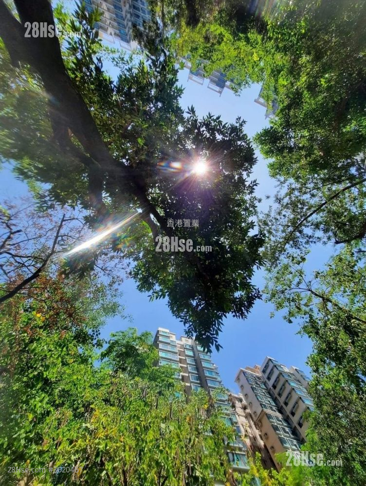 珀丽湾 租盘 1,551 平方尺 ( 144.1 平方米 ) 珀丽湾 租盘 1,551 平方尺 ( 144.1 平方米 )