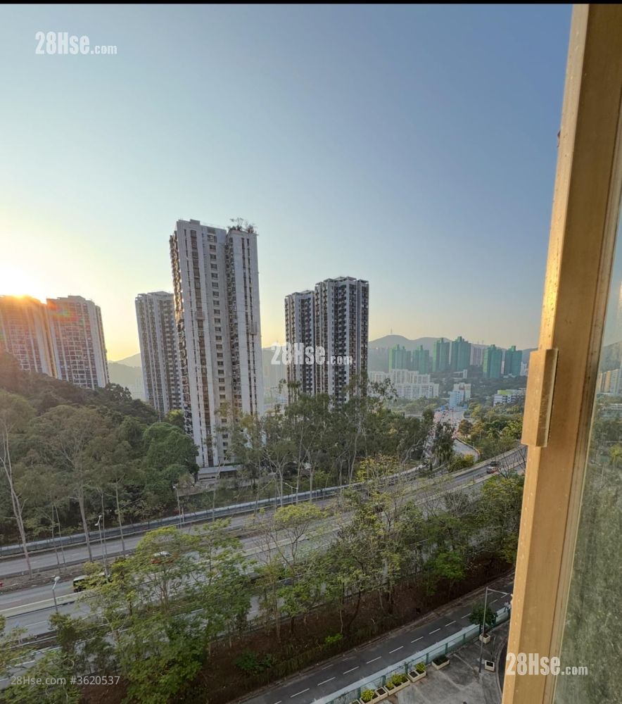 沙田第一城 售盘 2 房 , 1 浴室 304 平方尺 ( 28.2 平方米 ) 沙田第一城 售盘 2 房 , 1 浴室 304 平方尺 ( 28.2 平方米 )