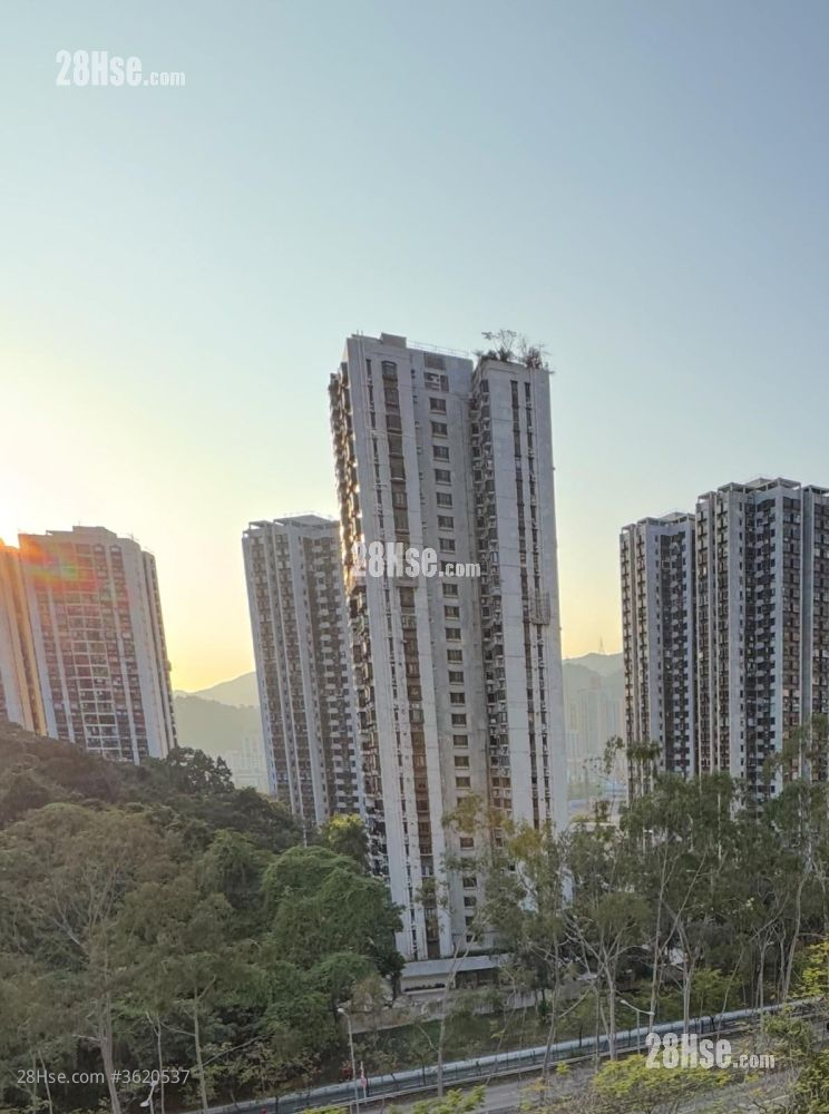 沙田第一城 售盘 2 房 , 1 浴室 304 平方尺 ( 28.2 平方米 ) 沙田第一城 售盘 2 房 , 1 浴室 304 平方尺 ( 28.2 平方米 )