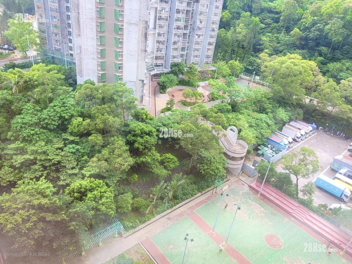 竹园北邨 售盘 2 房 , 1 浴室 381 平方尺 ( 35.4 平方米 ) 竹园北邨 售盘 2 房 , 1 浴室 381 平方尺 ( 35.4 平方米 )