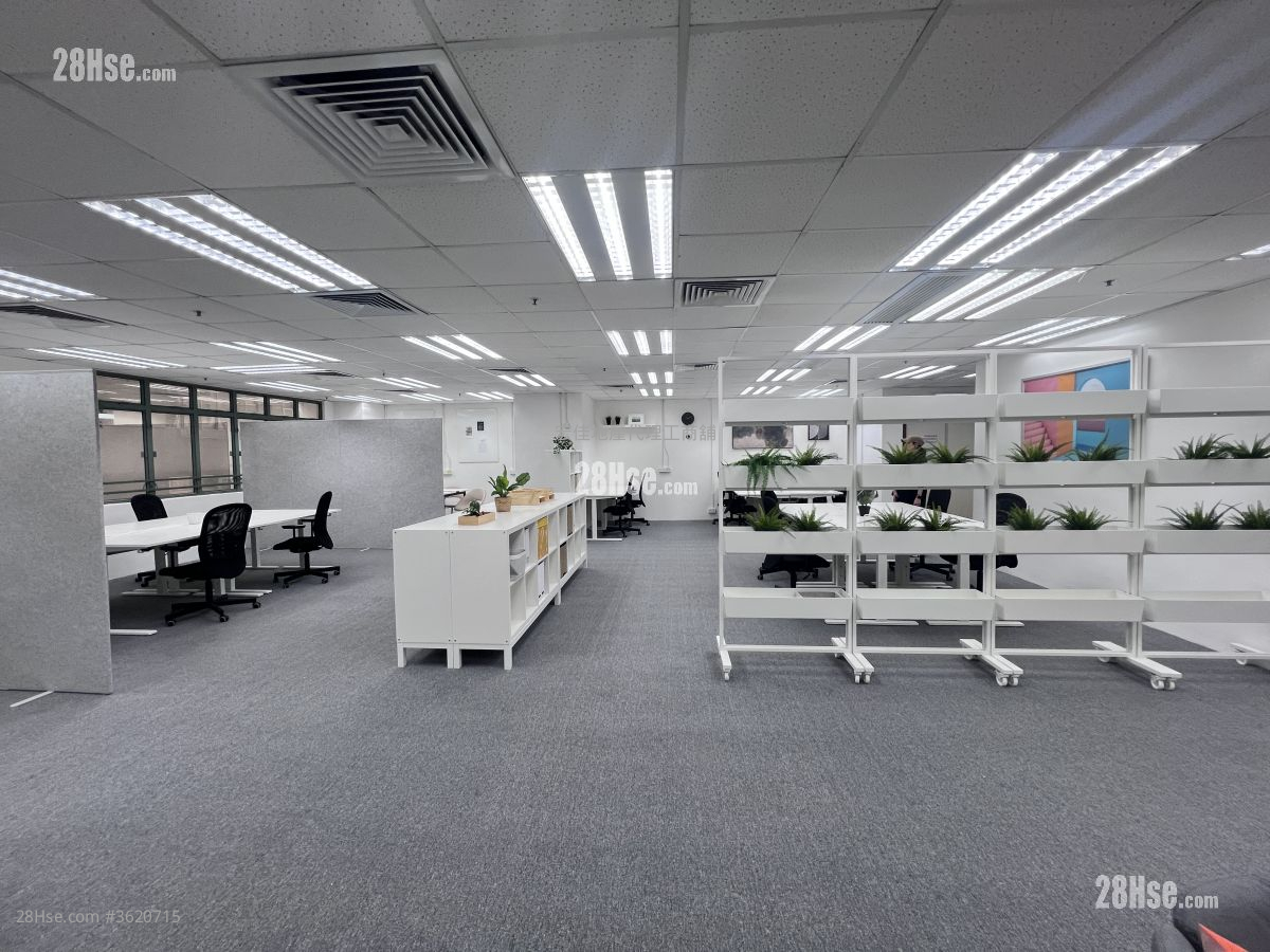New Tech Plaza Rental New Tech Plaza Rental