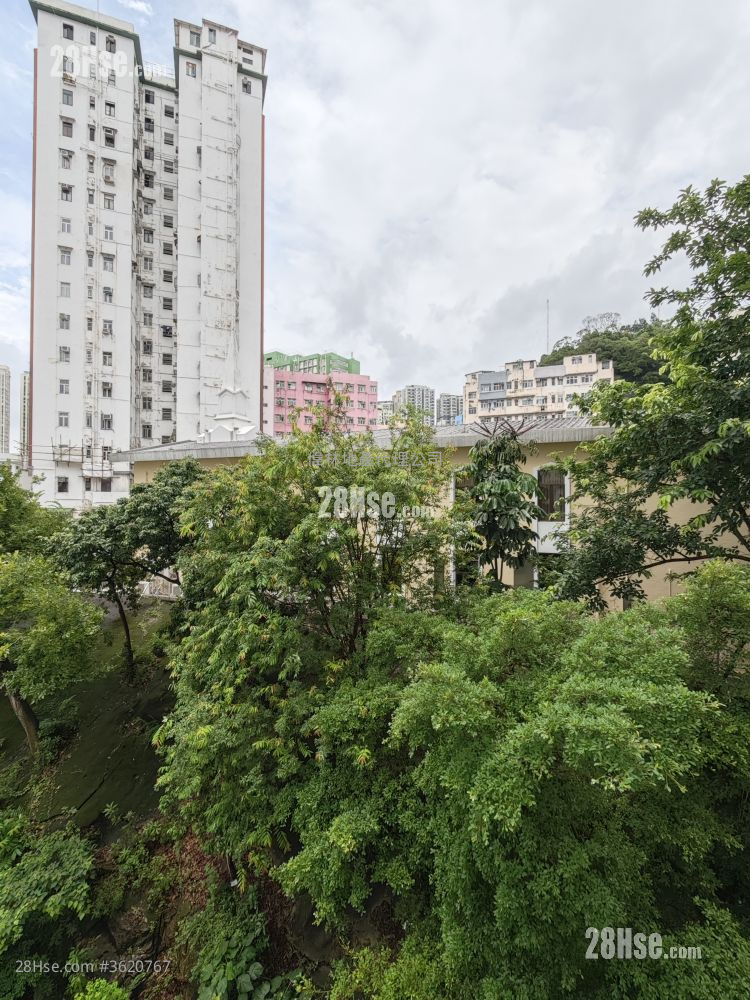 瑞和楼 租盘 2 房 , 1 浴室 265 平方尺 ( 24.6 平方米 ) 瑞和楼 租盘 2 房 , 1 浴室 265 平方尺 ( 24.6 平方米 )