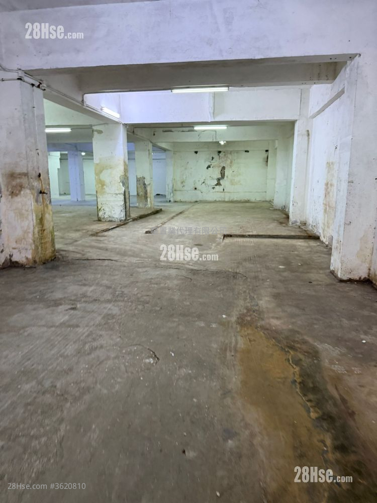 纬兴工业大厦 租盘 纬兴工业大厦 租盘