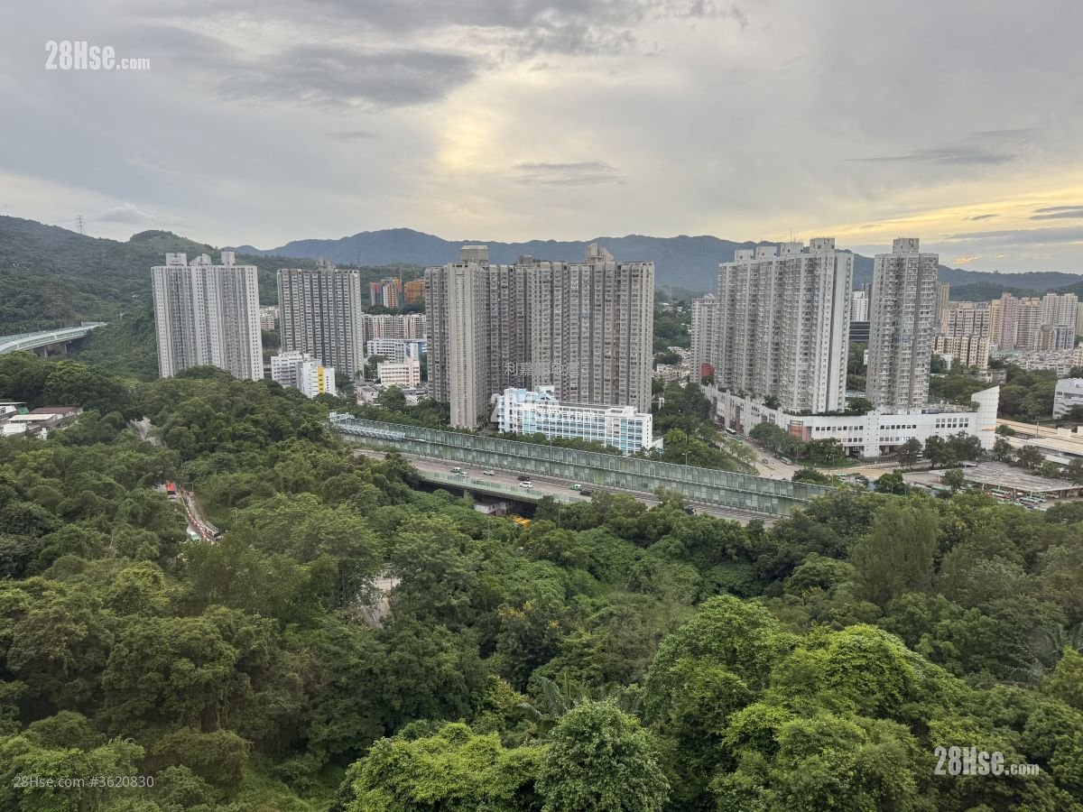 大埔宝马山 售盘 3 房 , 2 浴室 756 平方尺 ( 70.2 平方米 ) 大埔宝马山 售盘 3 房 , 2 浴室 756 平方尺 ( 70.2 平方米 )