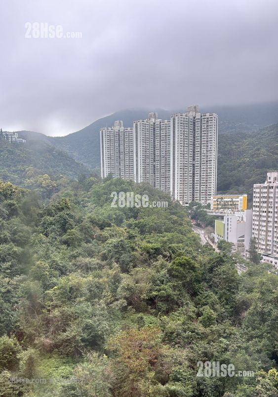 建业大楼 租盘 开放式间隔 , 1 浴室 257 平方尺 ( 23.9 平方米 ) 建业大楼 租盘 开放式间隔 , 1 浴室 257 平方尺 ( 23.9 平方米 )