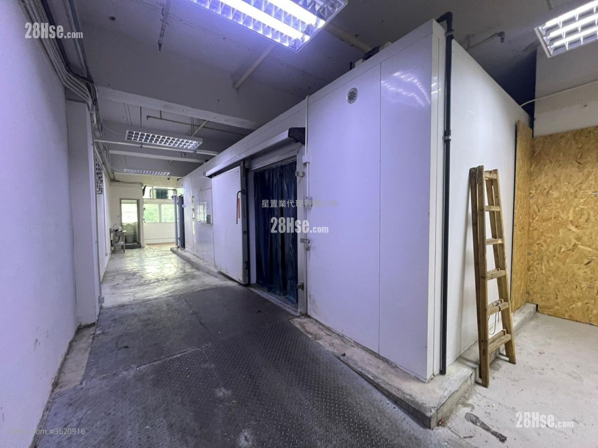 新丰中心 租盘 新丰中心 租盘