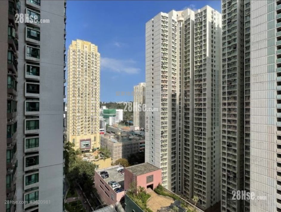 东港城 租盘 2 房 , 1 浴室 463 平方尺 ( 43.0 平方米 ) 东港城 租盘 2 房 , 1 浴室 463 平方尺 ( 43.0 平方米 )