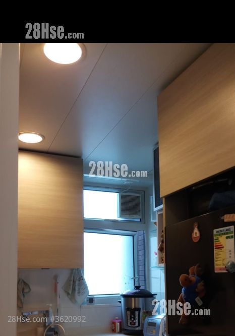 峻滢 租盘 2 房 , 1 浴室 502 平方尺 ( 46.6 平方米 ) 峻滢 租盘 2 房 , 1 浴室 502 平方尺 ( 46.6 平方米 )