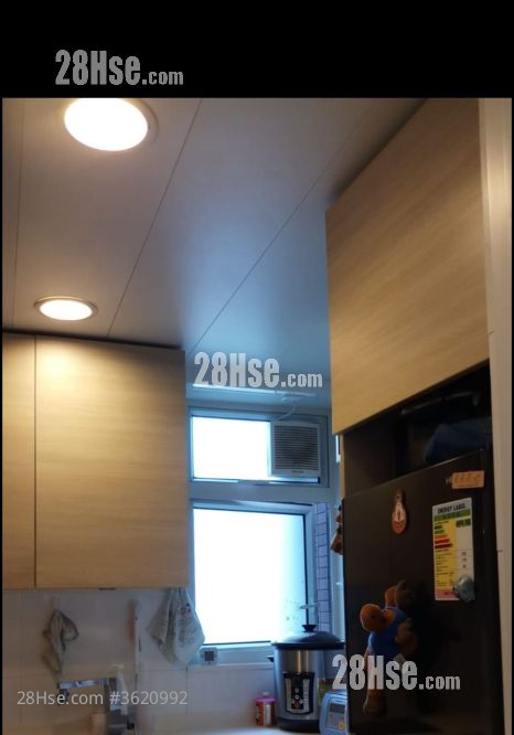 峻滢 租盘 2 房 , 1 浴室 502 平方尺 ( 46.6 平方米 ) 峻滢 租盘 2 房 , 1 浴室 502 平方尺 ( 46.6 平方米 )