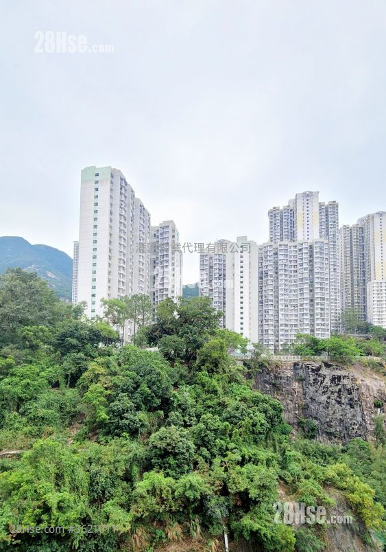 碧丽阁 租盘 2 房 , 1 浴室 272 平方尺 ( 25.3 平方米 ) 碧丽阁 租盘 2 房 , 1 浴室 272 平方尺 ( 25.3 平方米 )