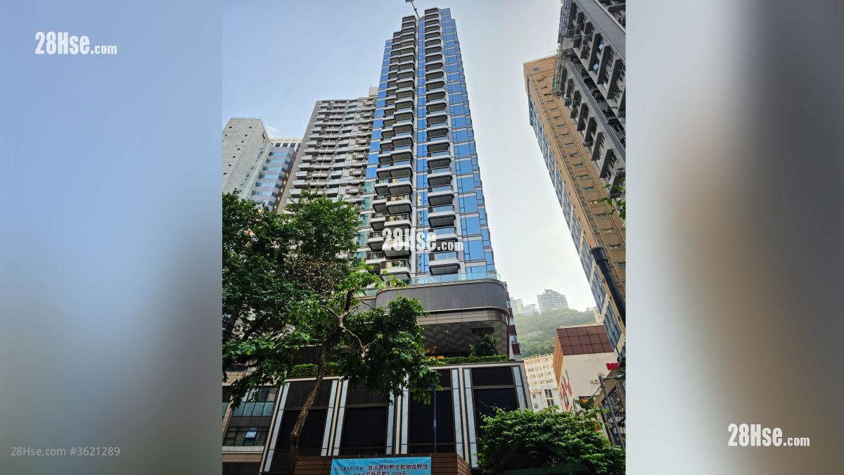 Spring Garden 售盘 292 平方尺 ( 27.1 平方米 )