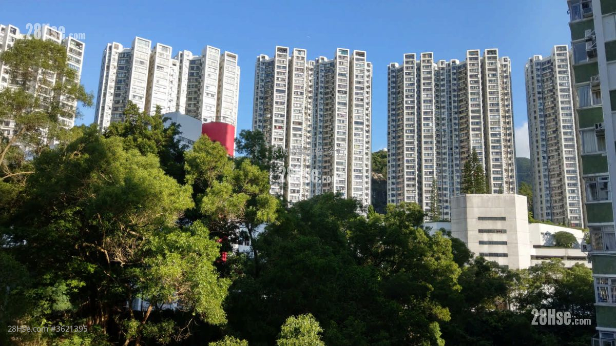 南丰新邨 租盘 2 房 , 1 浴室 391 平方尺 ( 36.3 平方米 ) 南丰新邨 租盘 2 房 , 1 浴室 391 平方尺 ( 36.3 平方米 )