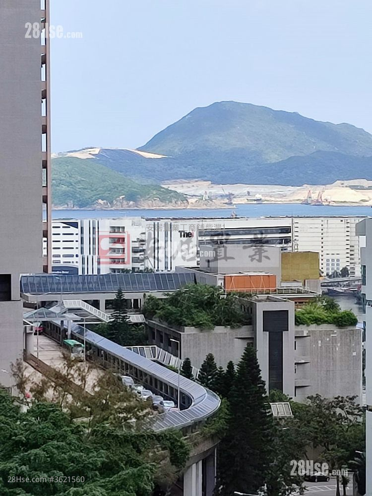 乐翠台 售盘 2 房 , 1 浴室 593 平方尺 ( 55.1 平方米 ) 乐翠台 售盘 2 房 , 1 浴室 593 平方尺 ( 55.1 平方米 )