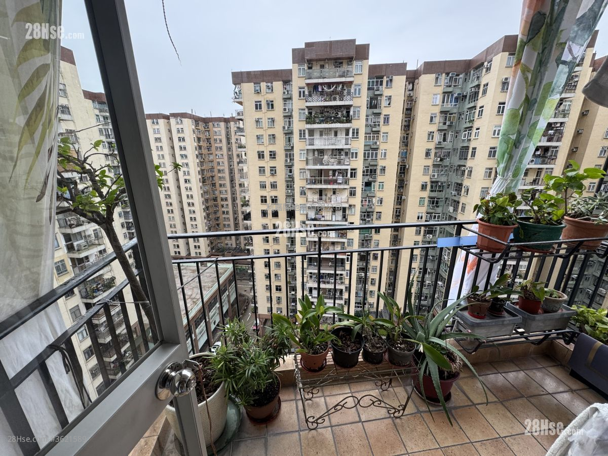 美孚新邨 售盘 3 房 , 2 浴室 716 平方尺 ( 66.5 平方米 ) 美孚新邨 售盘 3 房 , 2 浴室 716 平方尺 ( 66.5 平方米 )