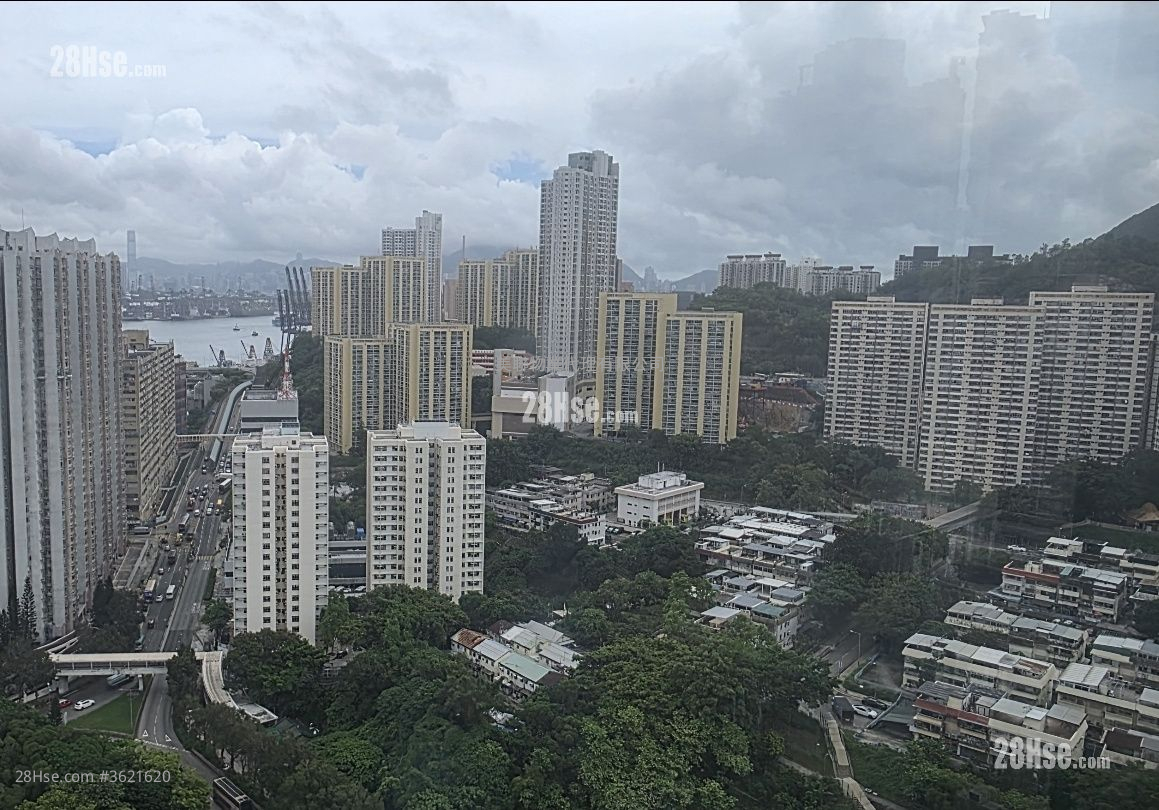 青怡花园 售盘 2 房 , 1 浴室 343 平方尺 ( 31.9 平方米 ) 青怡花园 售盘 2 房 , 1 浴室 343 平方尺 ( 31.9 平方米 )