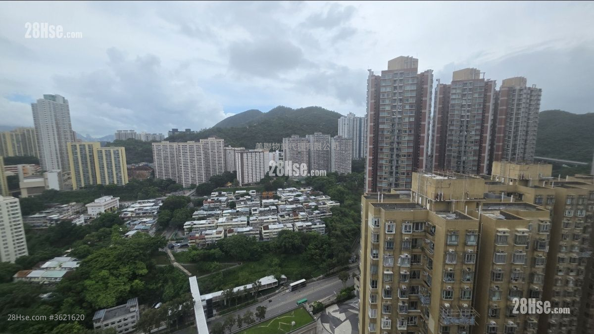 青怡花园 售盘 2 房 , 1 浴室 343 平方尺 ( 31.9 平方米 ) 青怡花园 售盘 2 房 , 1 浴室 343 平方尺 ( 31.9 平方米 )