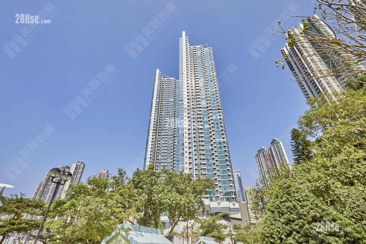 柏傲湾 租盘 1 房 , 1 浴室 421 平方尺 ( 39.1 平方米 ) 柏傲湾 租盘 1 房 , 1 浴室 421 平方尺 ( 39.1 平方米 )