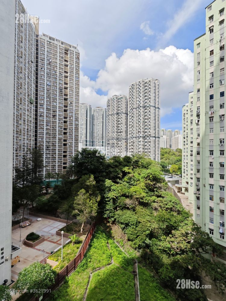 凤仪大厦 售盘 2 房 , 1 浴室 575 平方尺 ( 53.4 平方米 ) 凤仪大厦 售盘 2 房 , 1 浴室 575 平方尺 ( 53.4 平方米 )