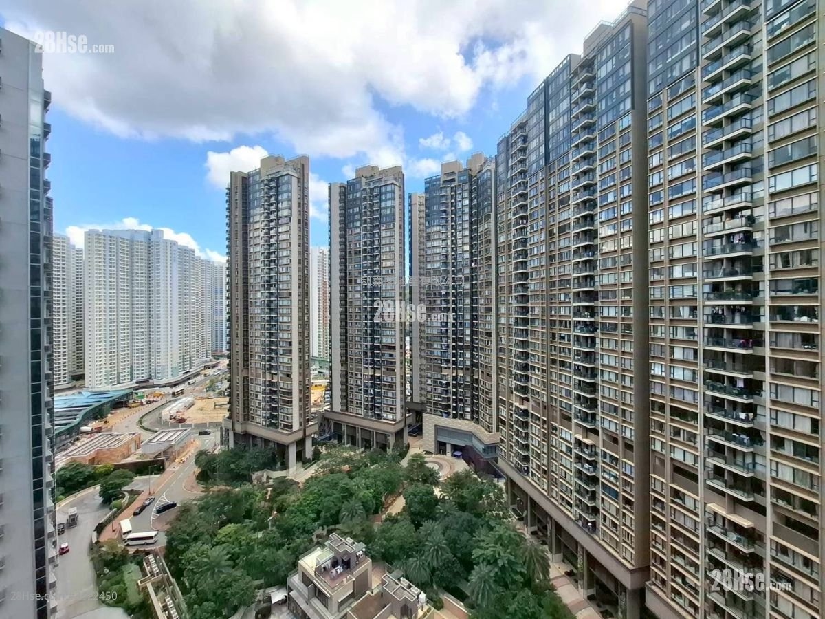 东环 租盘 1 房 379 平方尺 ( 35.2 平方米 )