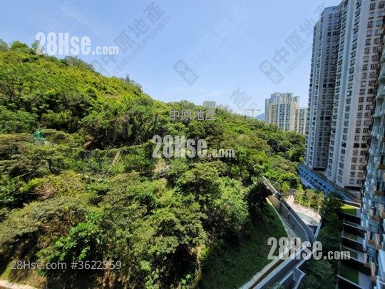 明翘汇 租盘 2 房 , 1 浴室 421 平方尺 ( 39.1 平方米 ) 明翘汇 租盘 2 房 , 1 浴室 421 平方尺 ( 39.1 平方米 )