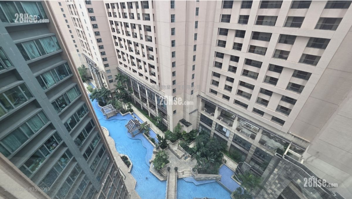 蓝澄湾 租盘 2 房 , 1 浴室 451 平方尺 ( 41.9 平方米 )