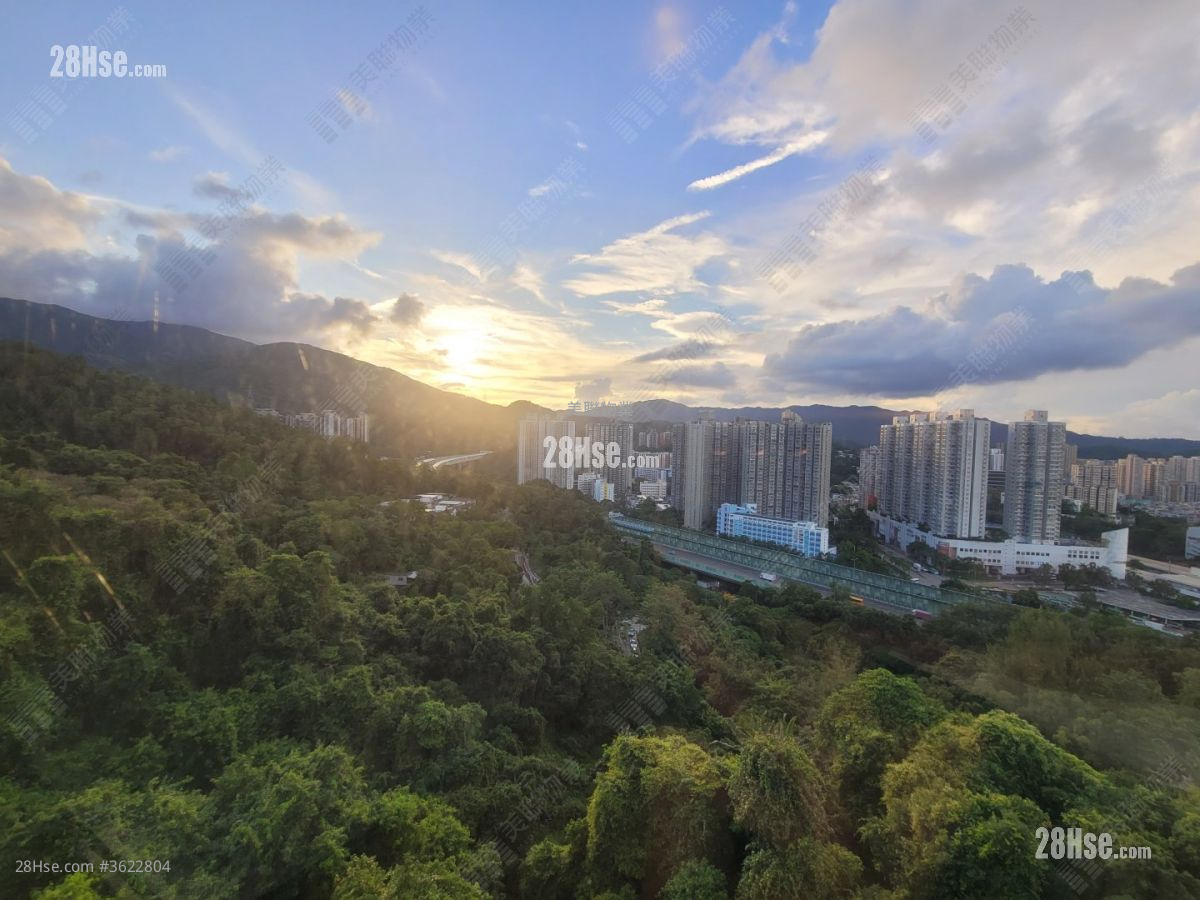 大埔宝马山 售盘 3 房 756 平方尺 ( 70.2 平方米 ) 大埔宝马山 售盘 3 房 756 平方尺 ( 70.2 平方米 )