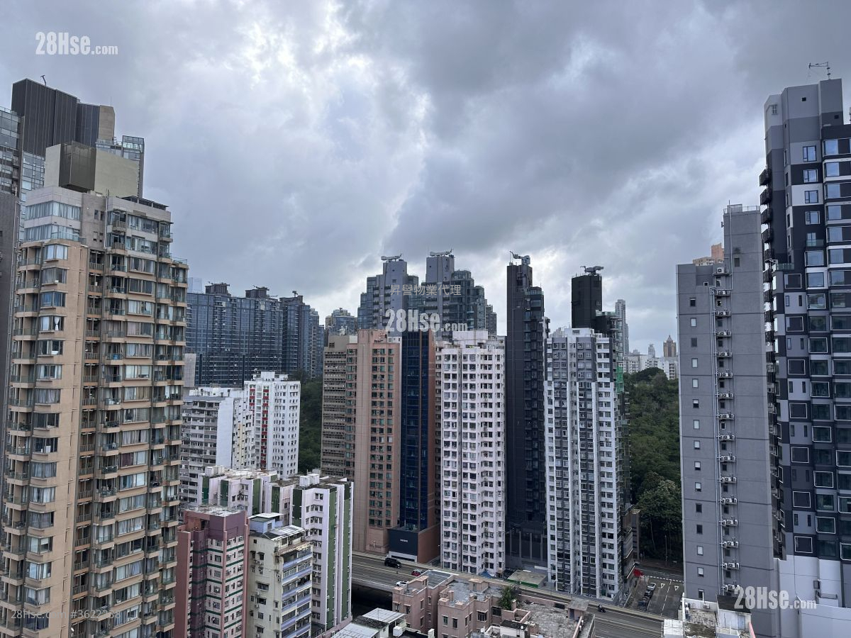 The Vantage Rental Studio 196 ft² ( 18.2 m² ) The Vantage Rental Studio 196 ft² ( 18.2 m² )