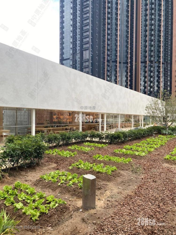 柏傲庄 租盘 2 房 , 1 浴室 452 平方尺 ( 42.0 平方米 ) 柏傲庄 租盘 2 房 , 1 浴室 452 平方尺 ( 42.0 平方米 )